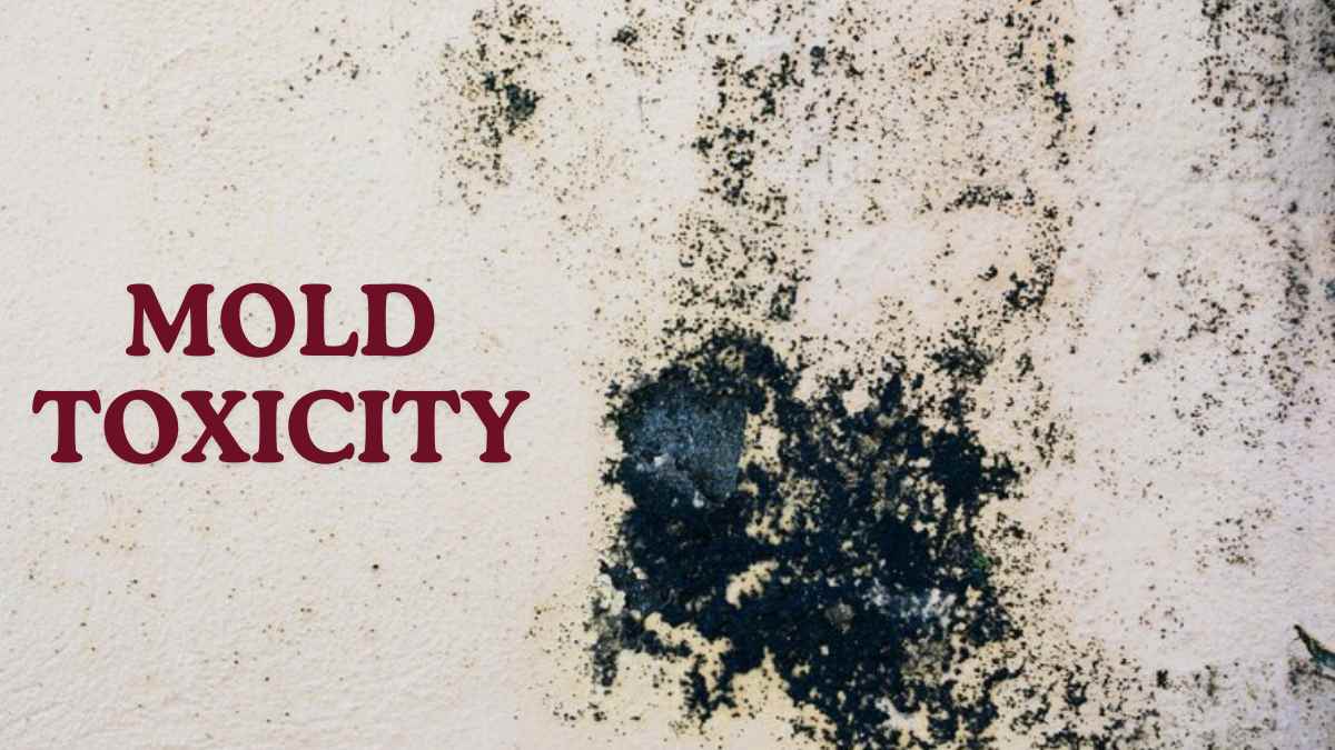 ¬¬¬10 Warning Signs of Mold Toxicity