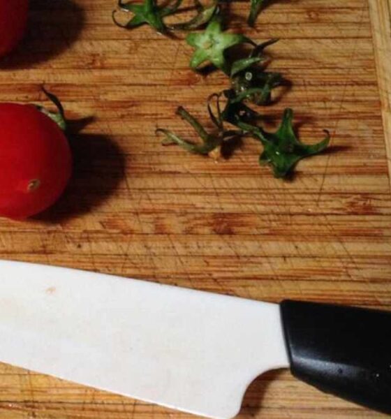 Matsato Knife Reviews 2024 - all Truth about Matsato Knives