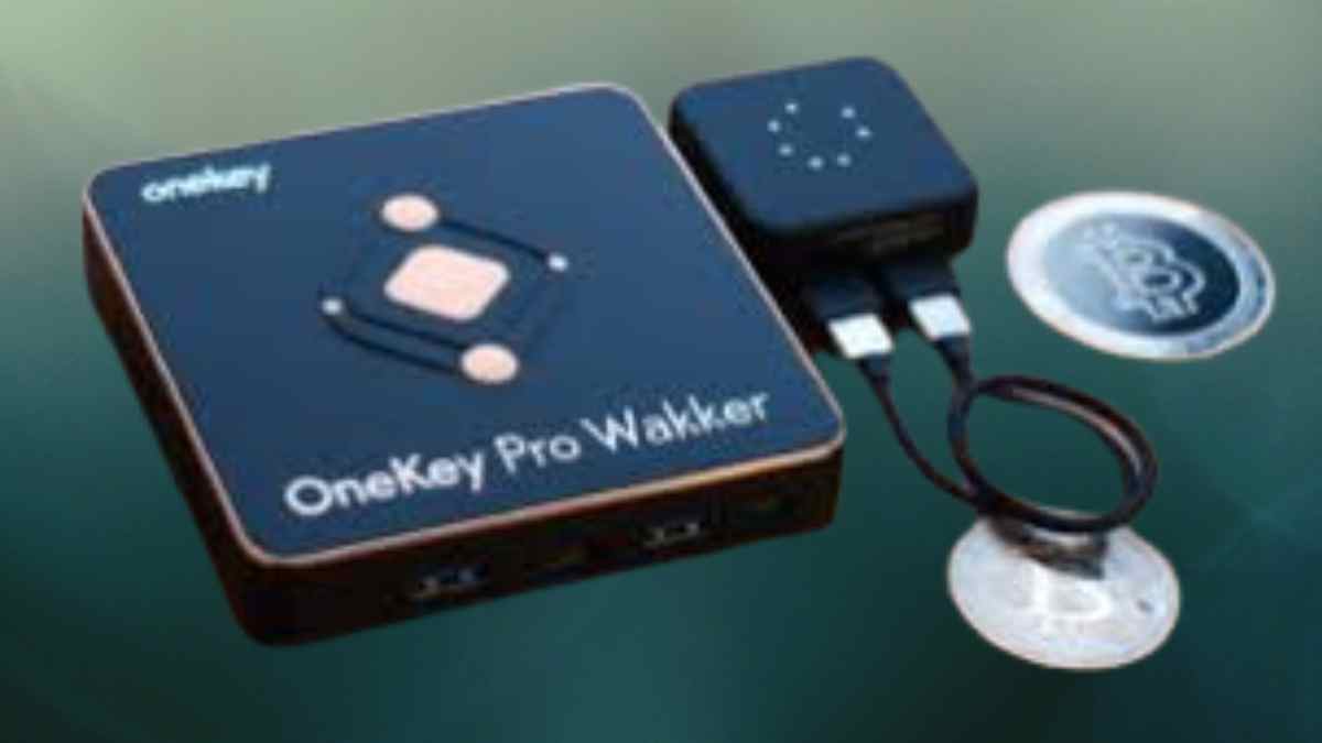 OneKey Pro Wakker How to Use